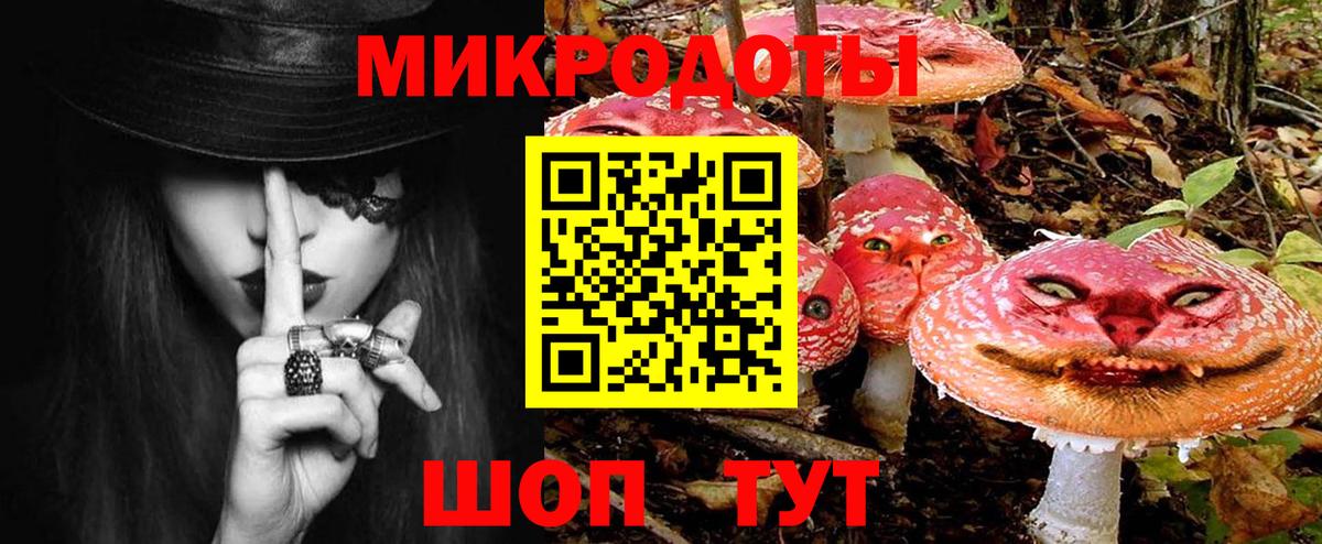 Чистополь  Галлюциногенные грибы GOLDEN TEACHER  Вход с VPN 